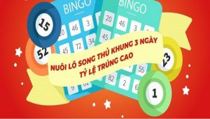 Nuôi lô song thủ khung 3 ngày hiệu quả miễn phí